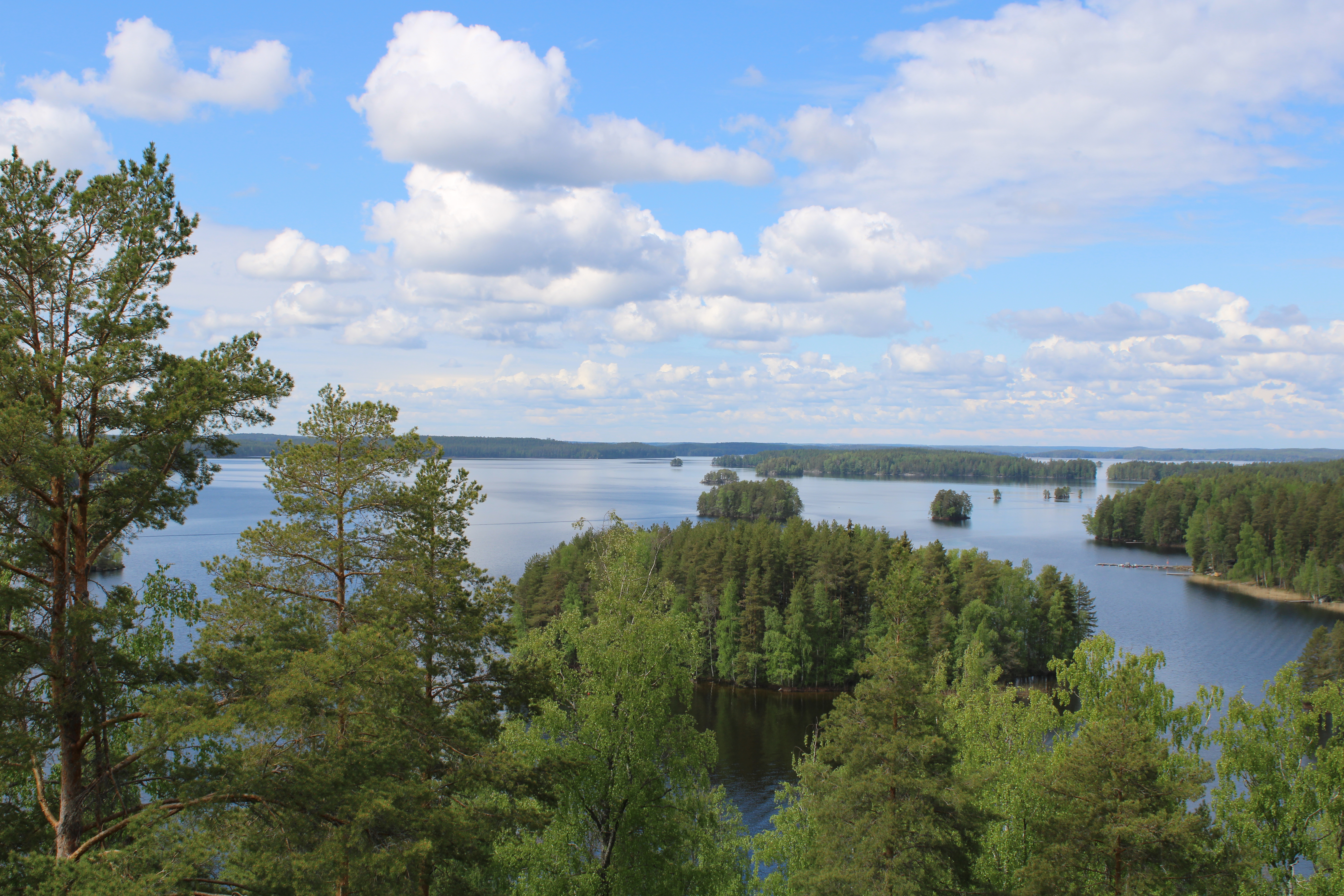 Kuolimo järvi kuvattuna Hakamäen näköalatornista.
