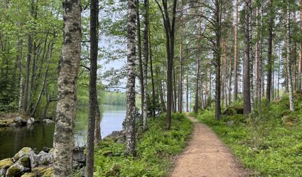 Kuvassa polku metsässä Kärnäkoskella.