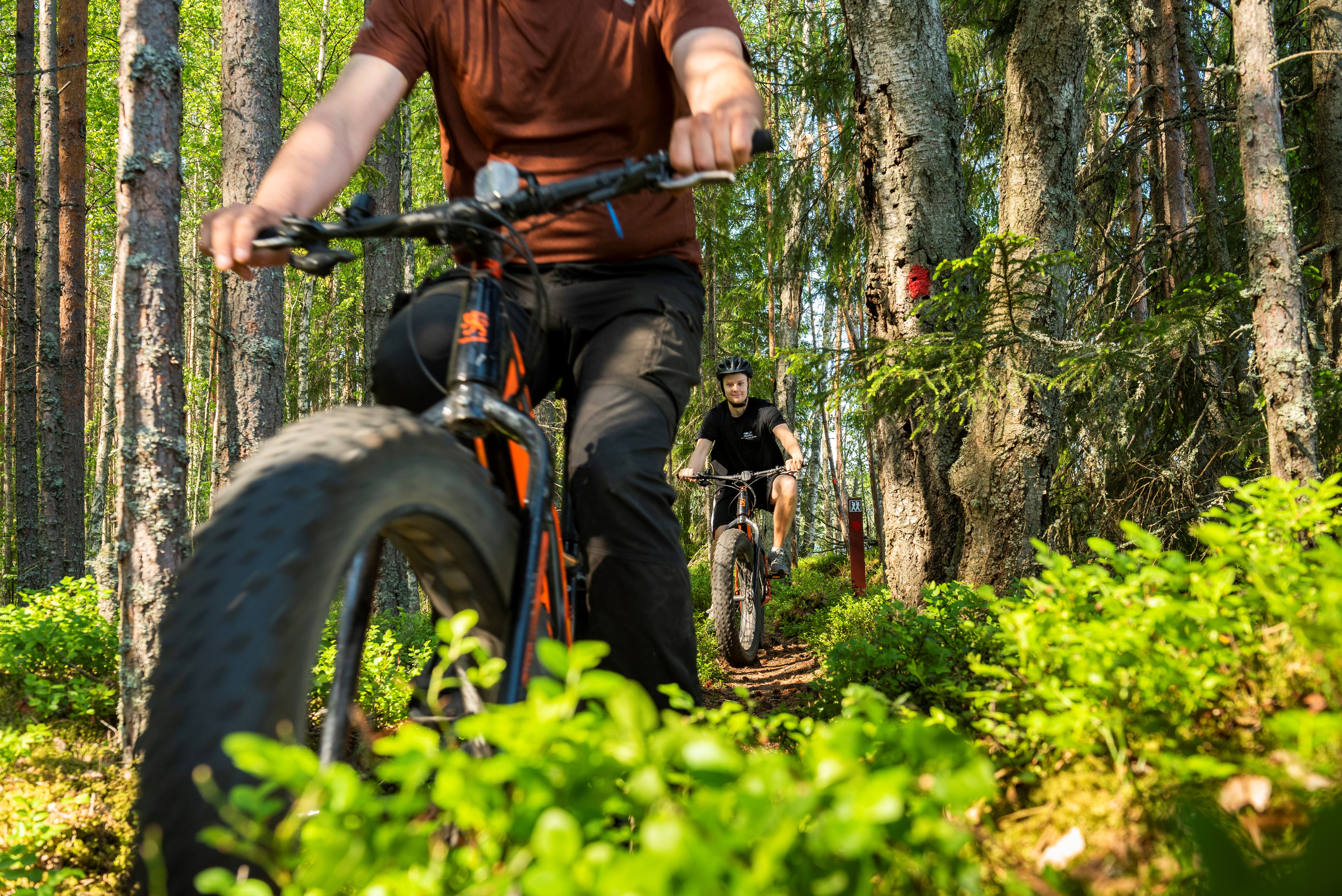 Two cyclists are on the mountain biking trail.