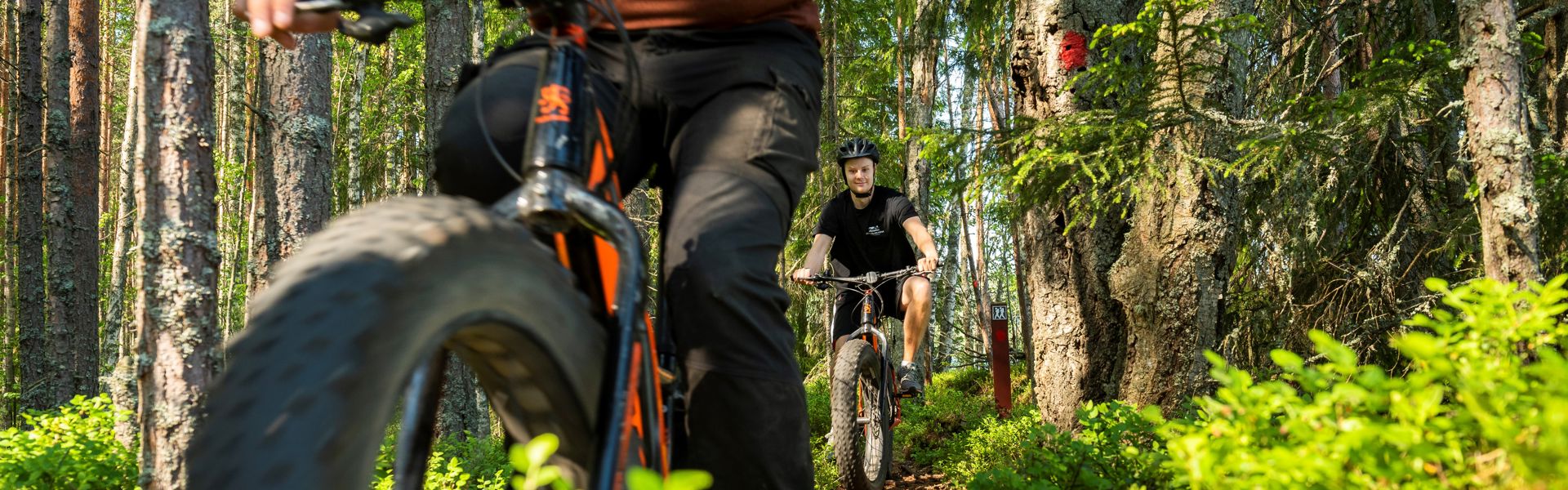 Kuvassa kaksi maastopyöräilijää metsäreitillä.