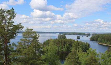 Kuolimo järvi kuvattuna Hakamäen näköalatornista.